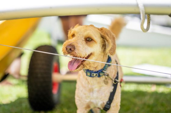 Vincentia Sailing Club Quinny Regatta 20210206 07 Img043