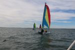 Img 7409