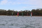 Img 7416