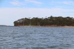Img 7417