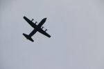 Img 7419