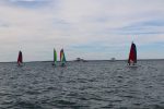 Img 7431
