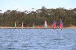 Img 7452