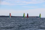 Img 7455