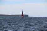 Img 7456