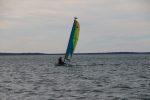 Img 7470