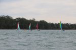 Img 7471
