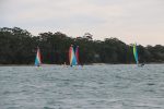 Img 7473