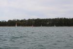 Img 7475