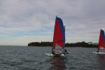 Img 7478