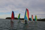 Img 7481