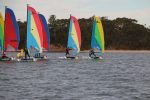 Img 7485