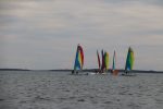 Img 7489
