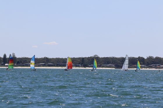 49f1de39 C731 4ef0 9080 Ac13194389d6 1 201 A