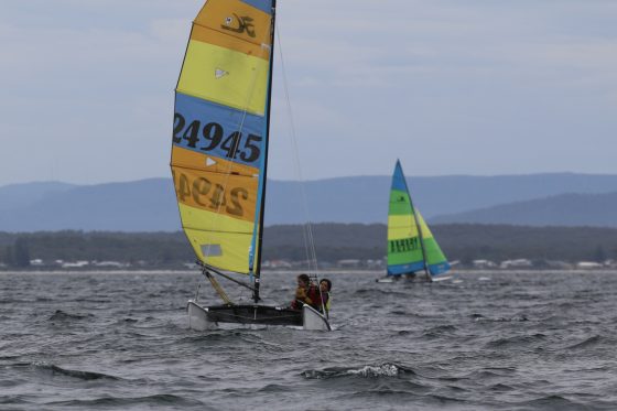 A0dede32 A301 4f08 8e12 Acf1c97be087 1 201 A