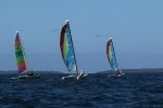 Img 4067