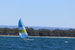 Img 7867