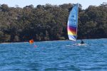 Img 7928
