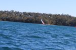 Img 8042